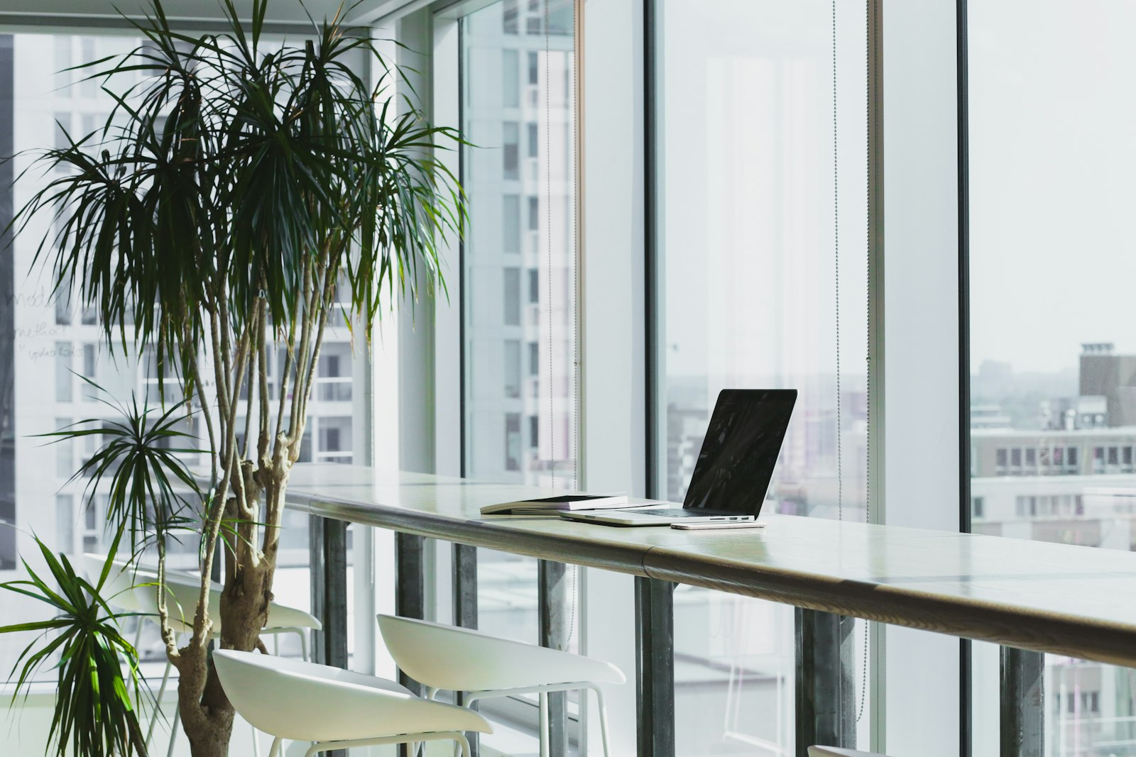 A calm desk by a tall window — where the reading becomes a written narrative